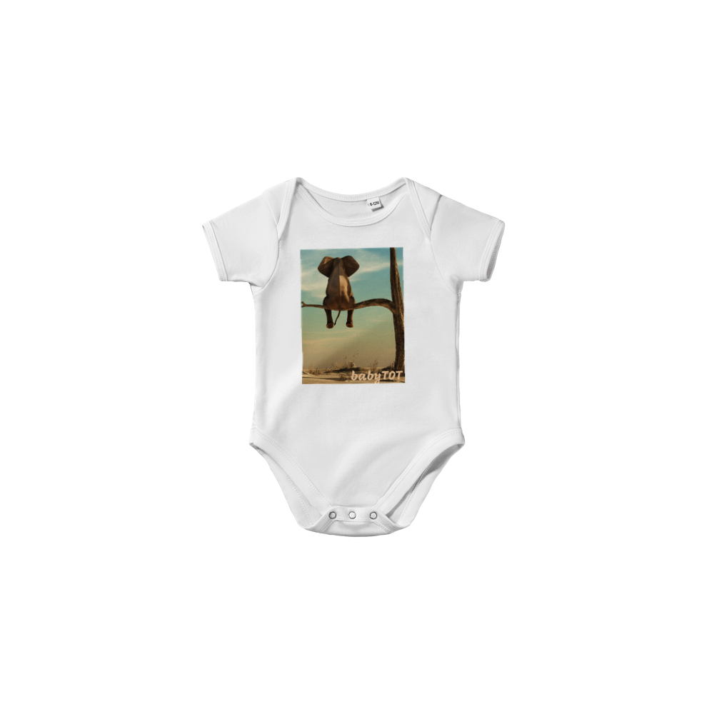 Classic Baby Short Sleeve Onesies
