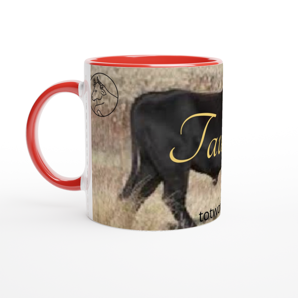 White 11oz Ceramic Mug with Color Inside