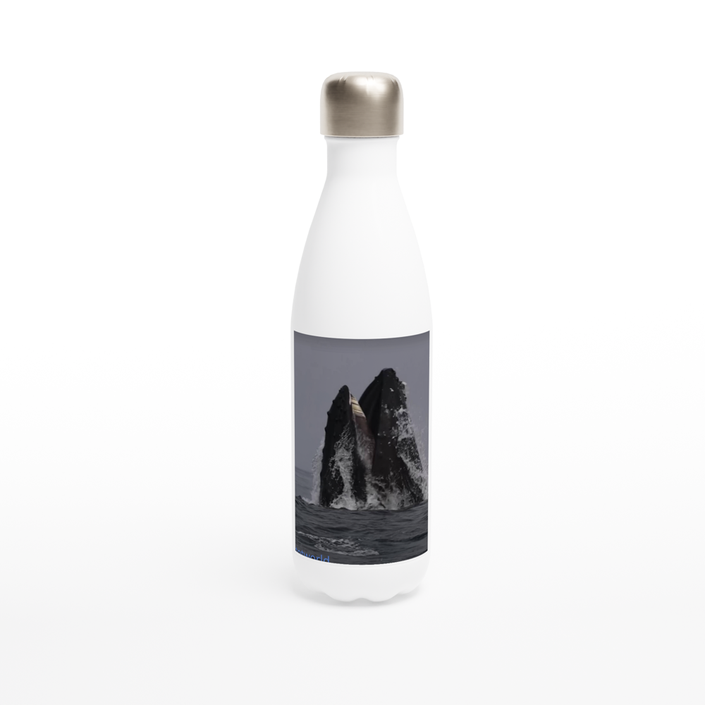 White 17oz Stainless Steel Water Bottle