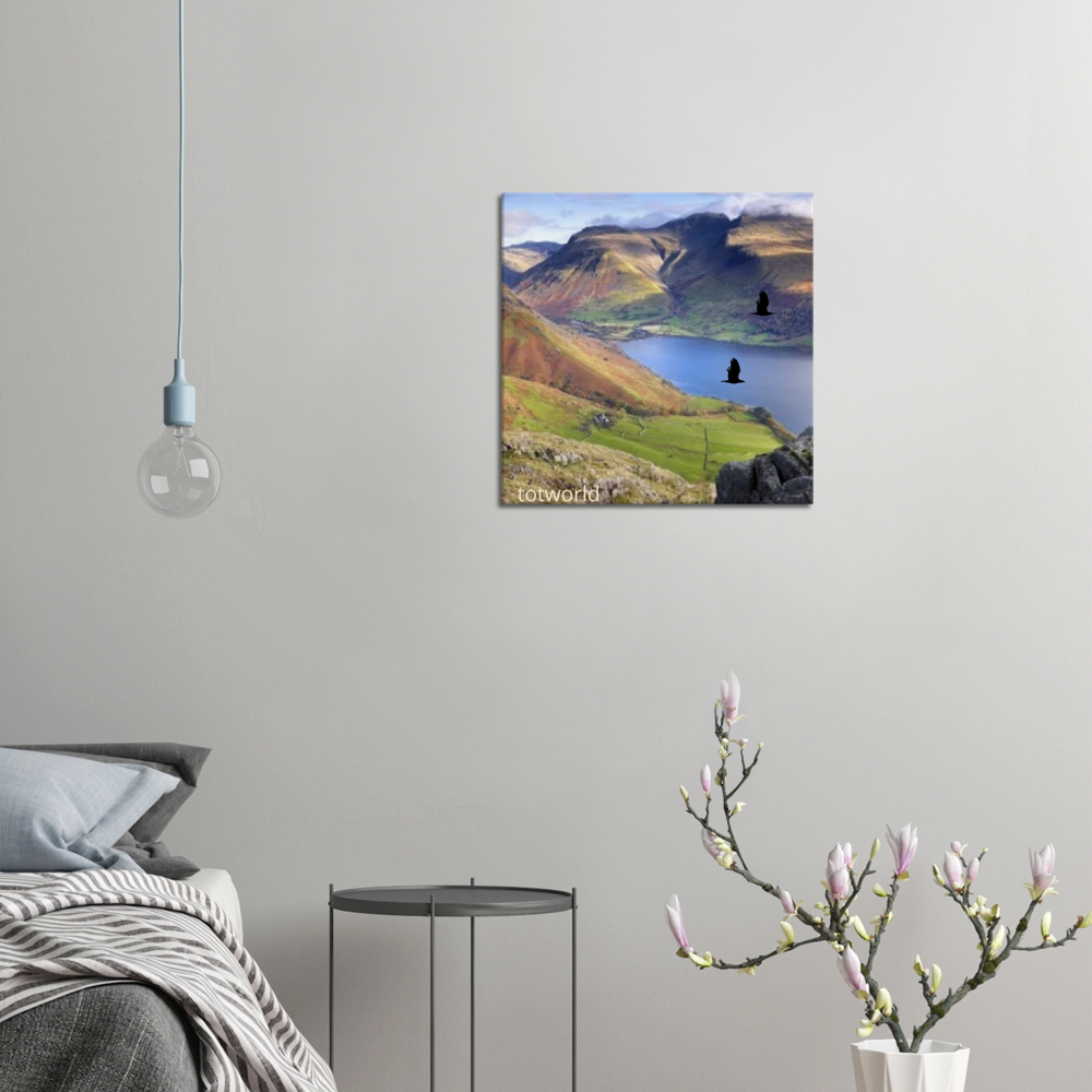Canvas
