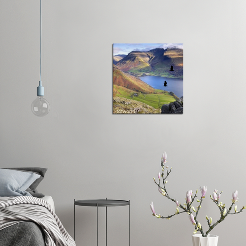 Canvas