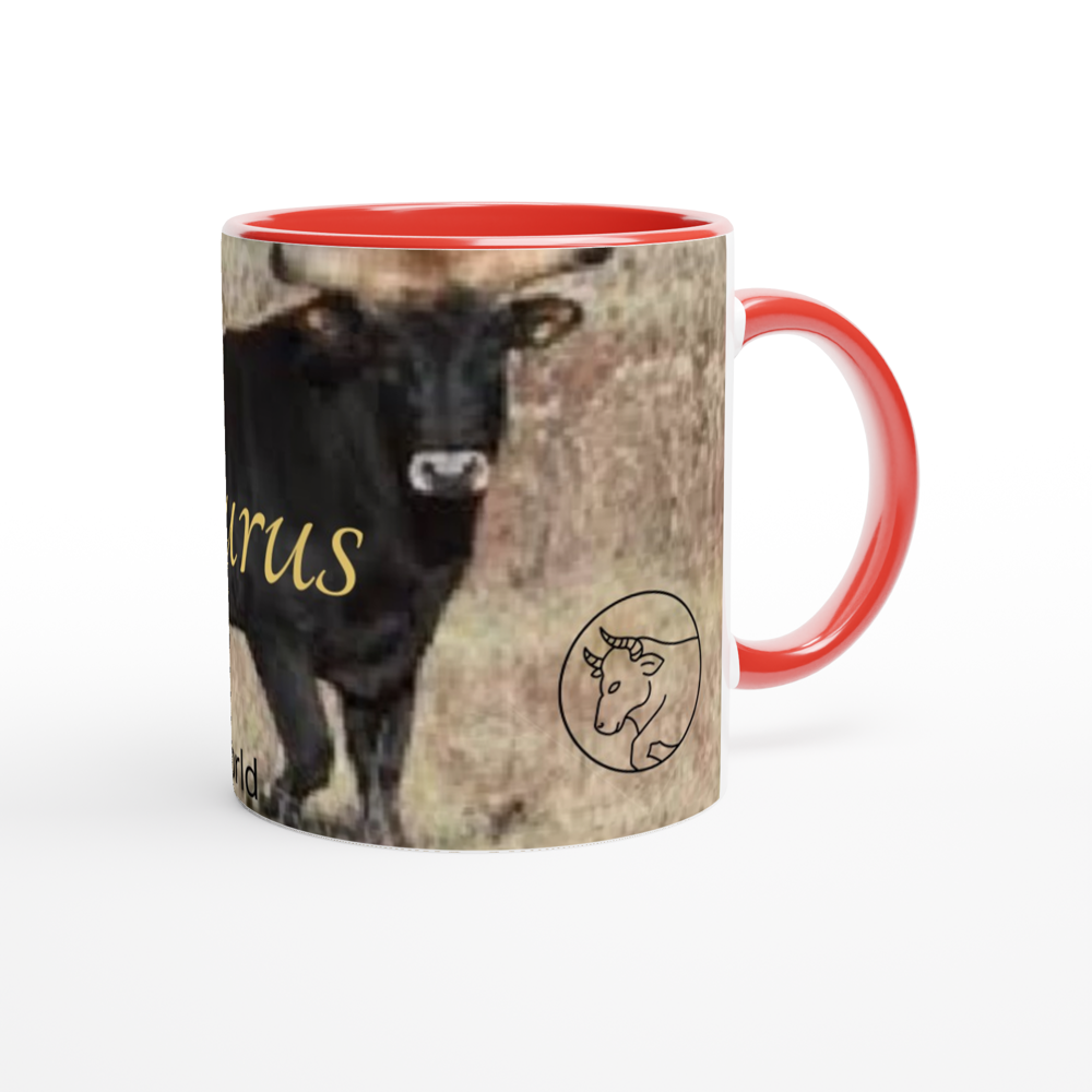 White 11oz Ceramic Mug with Color Inside