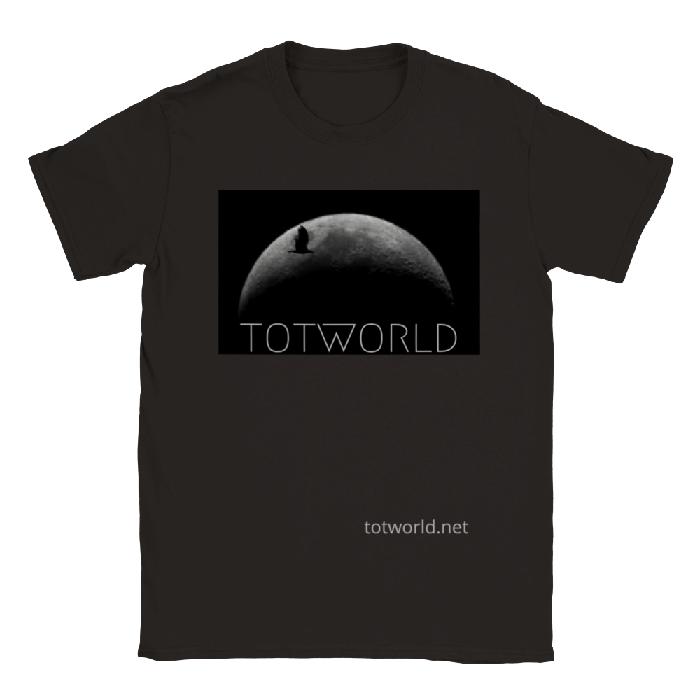 Classic Unisex Crewneck T-shirt