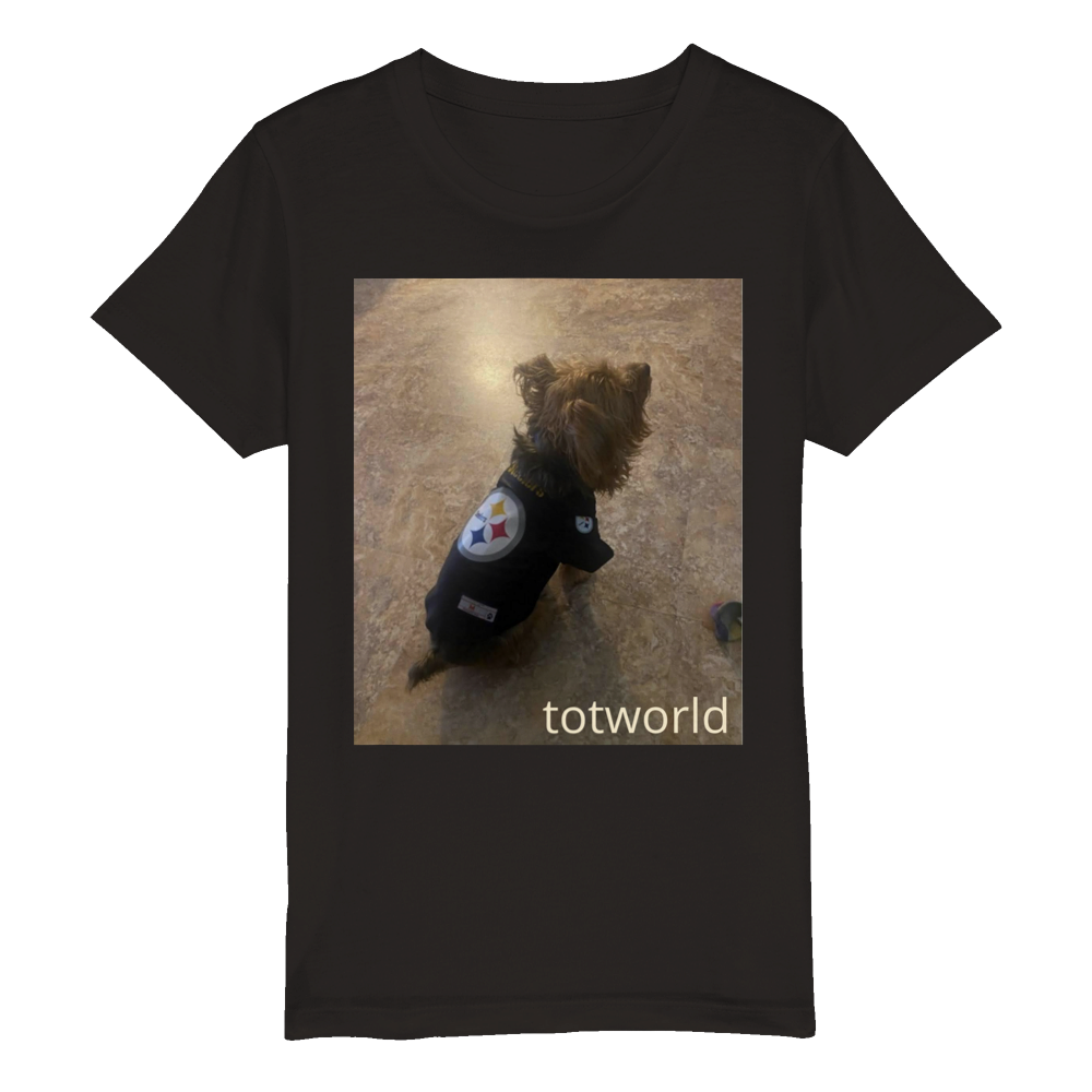 Organic Kids Crewneck T-shirt