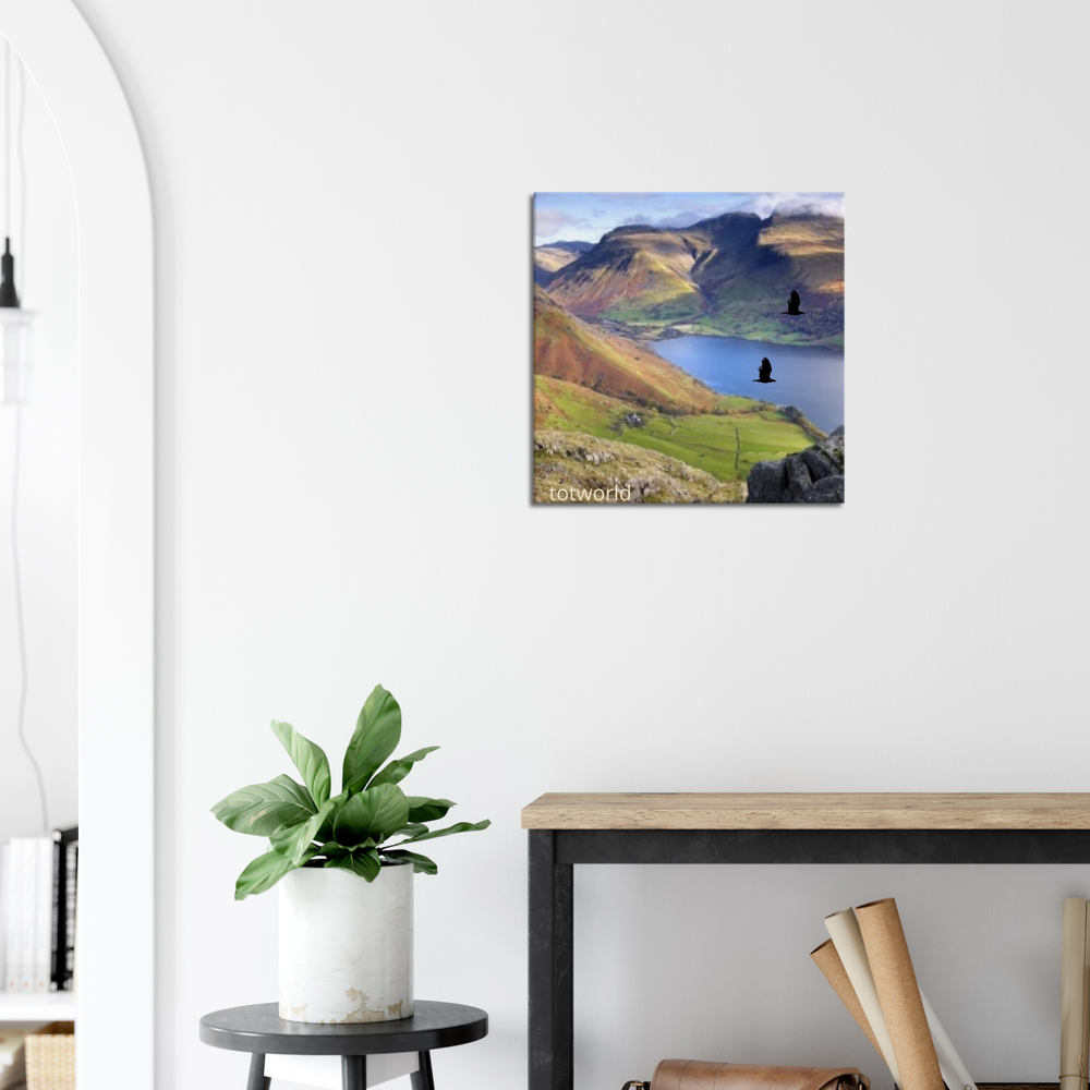 Canvas
