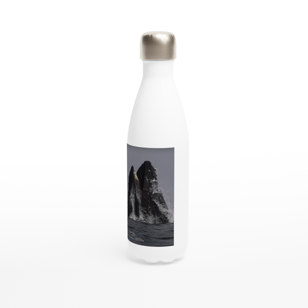 White 17oz Stainless Steel Water Bottle