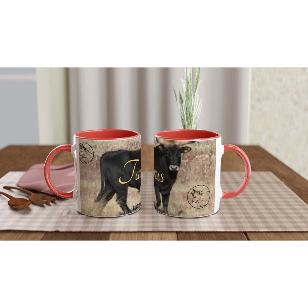 White 11oz Ceramic Mug with Color Inside