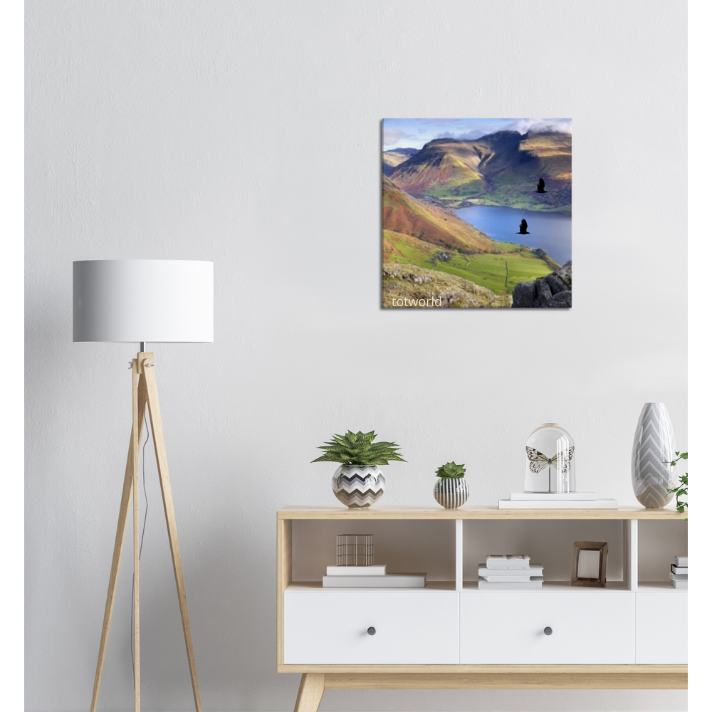 Canvas