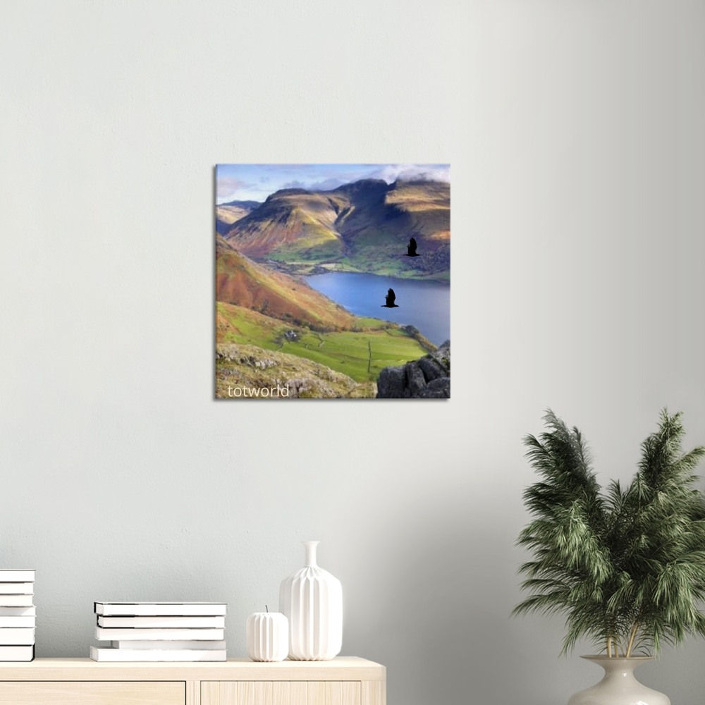 Canvas
